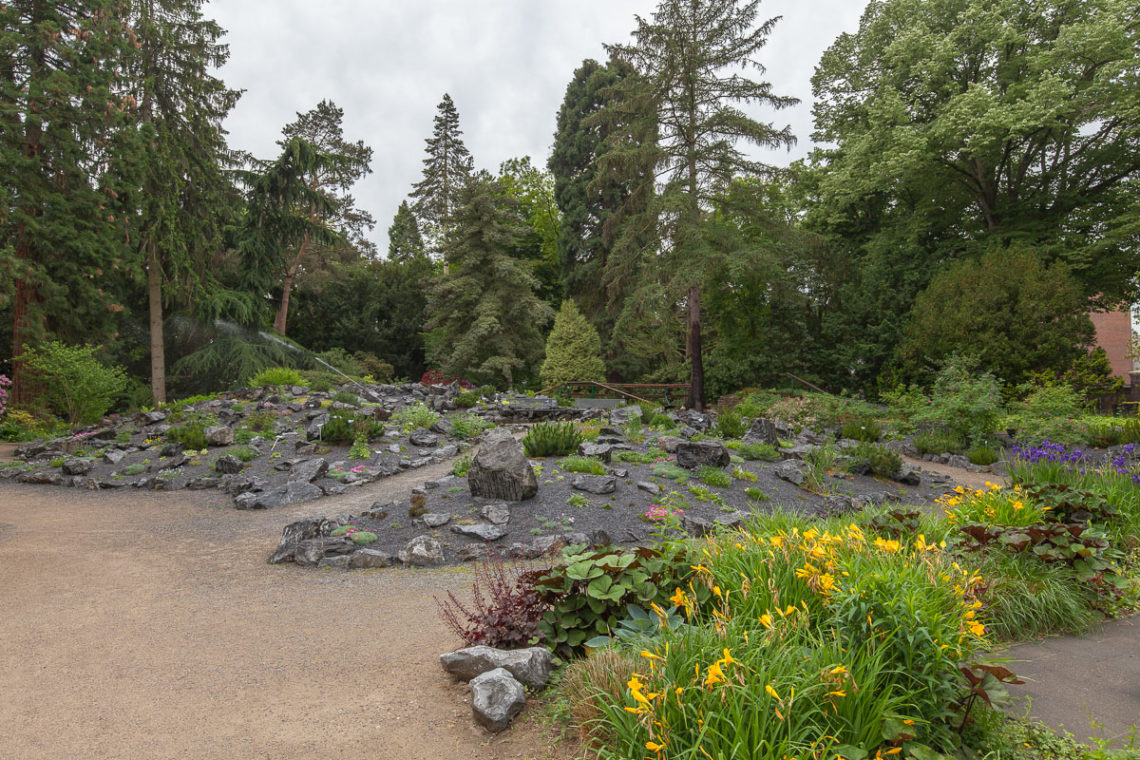 Bunter Garten & Botanischer Garten ein starkes Stück Heimat MG im