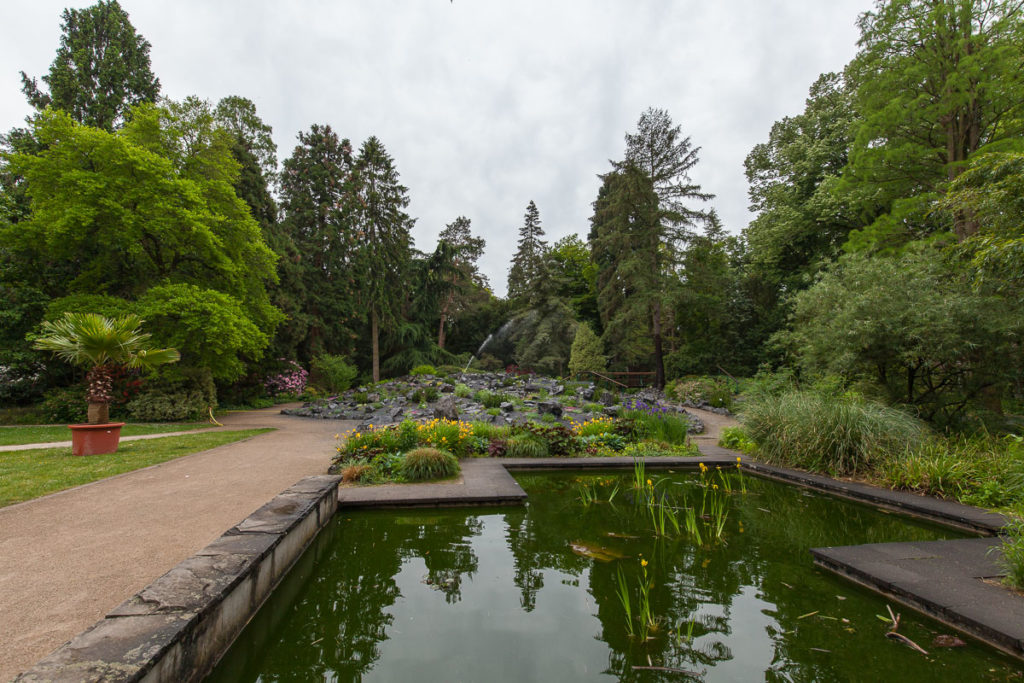 Bunter Garten &amp; Botanischer Garten ein starkes Stück