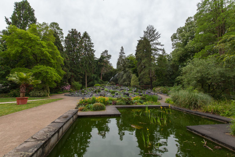 Bunter Garten & Botanischer Garten ein starkes Stück Heimat MG im