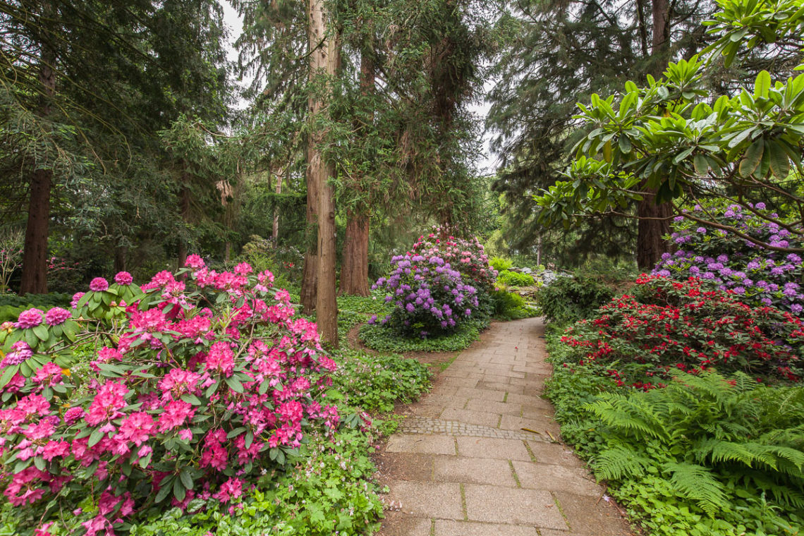 Bunter Garten And Botanischer Garten Ein Starkes Stück Heimat Mg Im