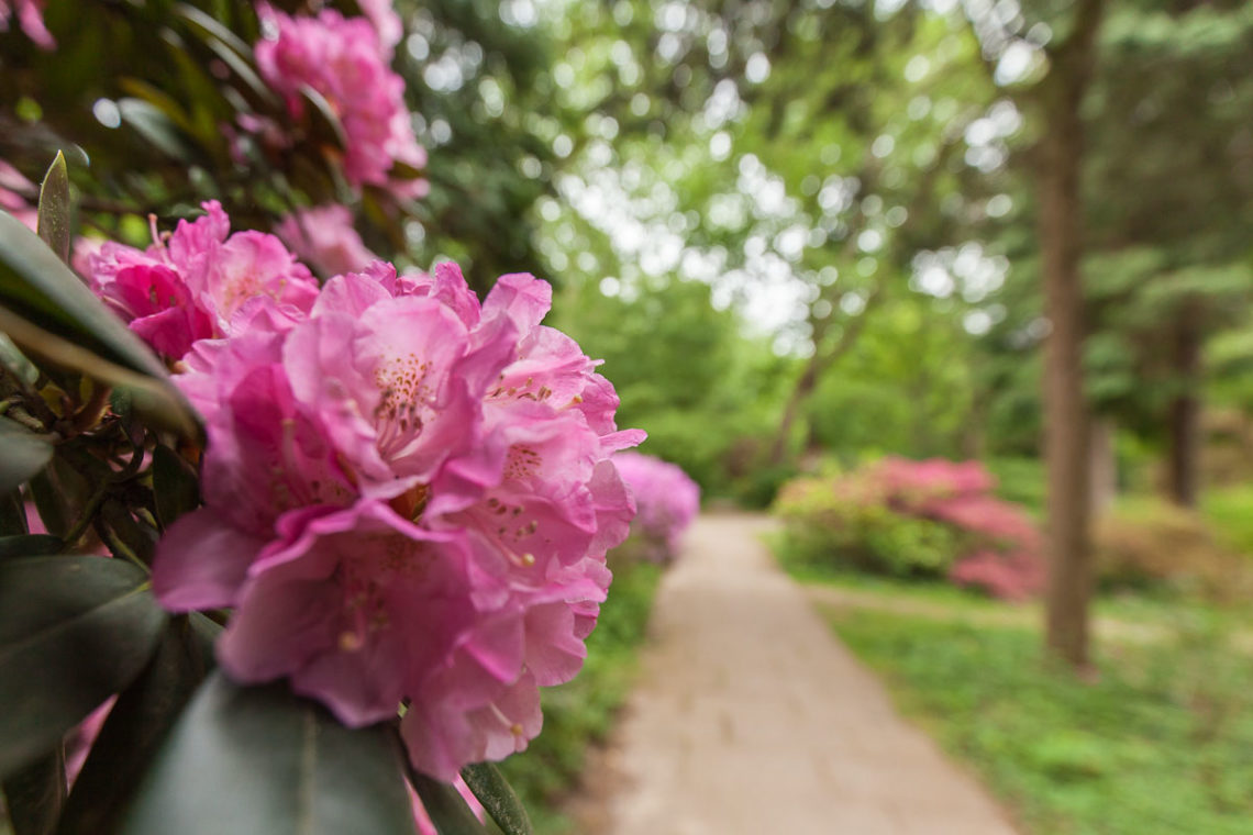 Bunter Garten & Botanischer Garten ein starkes Stück Heimat MG im