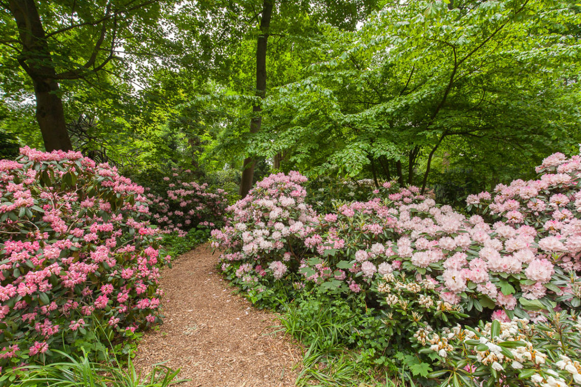 Bunter Garten &amp; Botanischer Garten ein starkes Stück