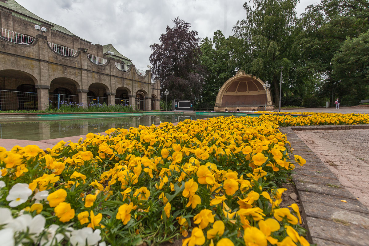 Bunter Garten & Botanischer Garten ein starkes Stück Heimat MG im