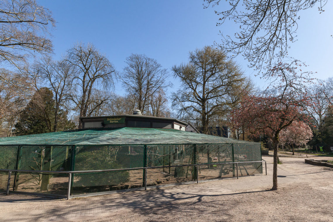 Bunter Garten & Botanischer Garten - ein starkes Stück Heimat | MG im