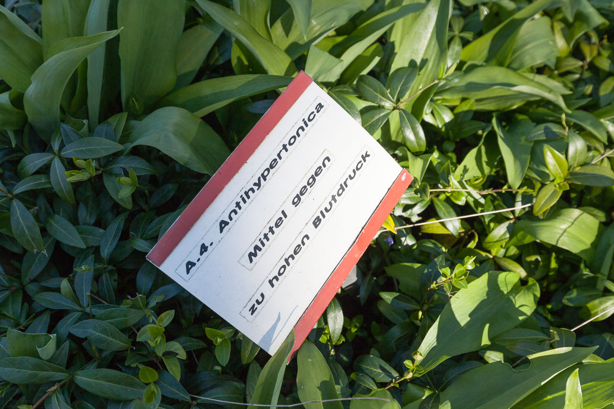 Bunter Garten & Botanischer Garten - ein starkes Stück Heimat | MG im