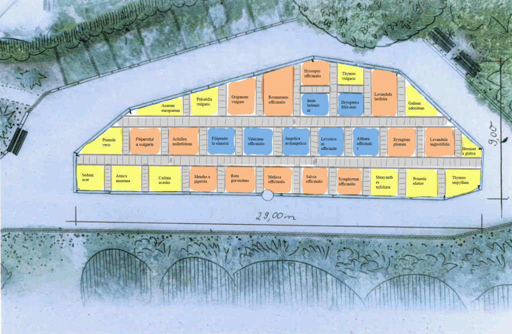 Die Farben im Pflanzplan zeigen die Wuchshöhe. Hier haben wir von innen nach außen so gepflanzt, dass die hohen Stauden in der Mitte stehen und nach außen immer flacher werden.