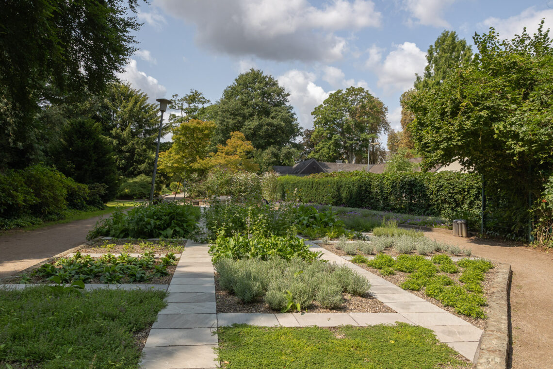 Der Apothekergarten im Bunten Garten wurde neu bepflanzt.