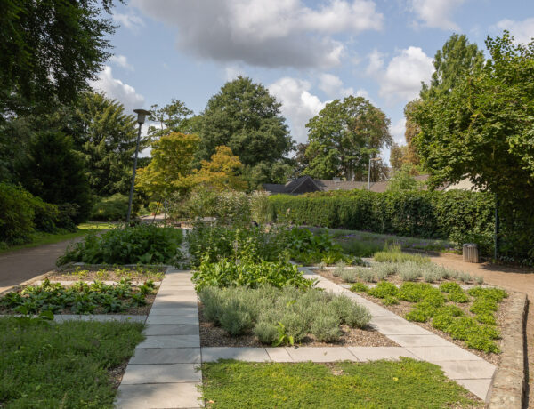Der Apothekergarten im Bunten Garten wurde neu bepflanzt.