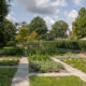 Der Apothekergarten im Bunten Garten wurde neu bepflanzt.